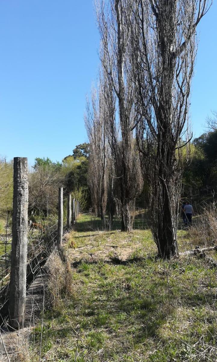 Foto de Camino del Cuadrado espectacular Quinta/Chacra para lotear, imagen 2
