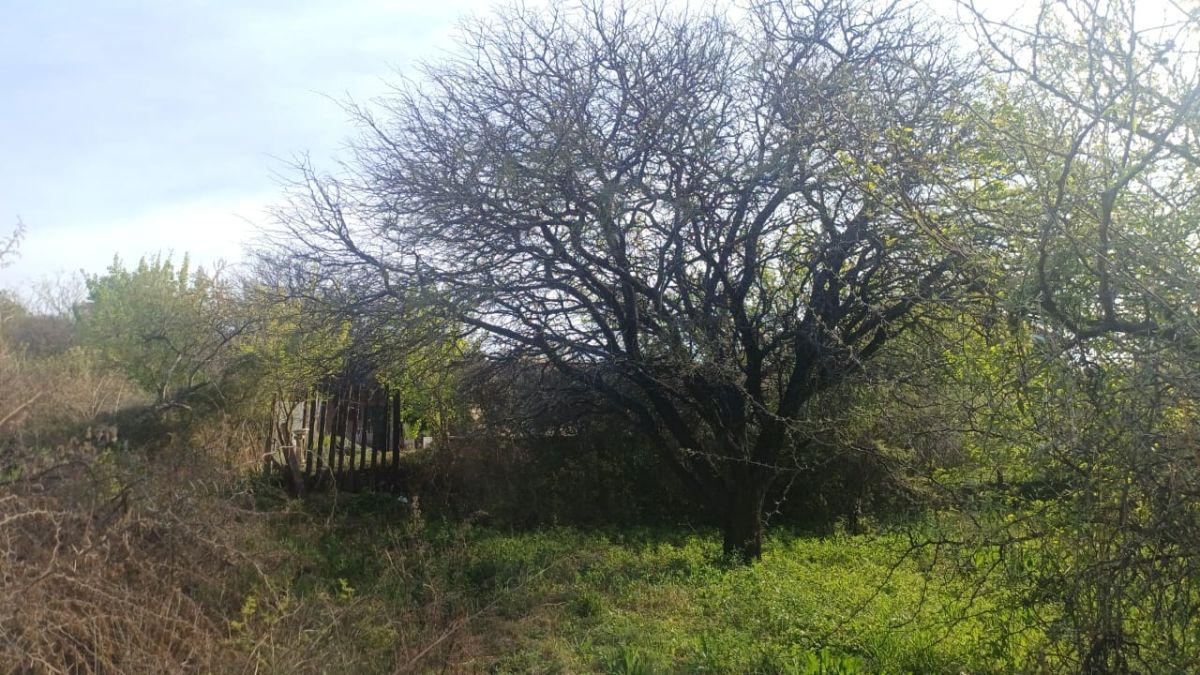 Foto de Lote En Venta en Complejo Cerrado en Barrio Mendiolaza Golf - 1.105 mts, imagen 5