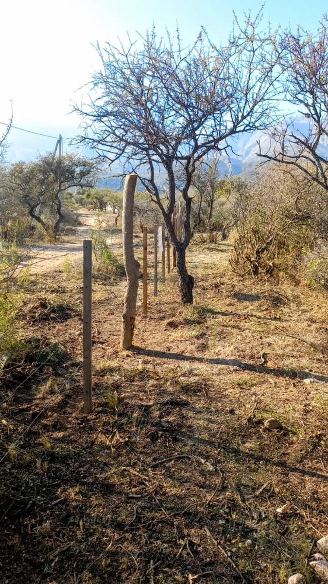 La Travesía Terreno de 5 Hectáreas en Venta 2
