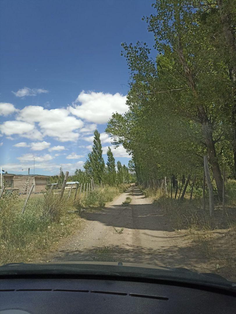 Foto de Venta de Lote en Malargüe, imagen 3
