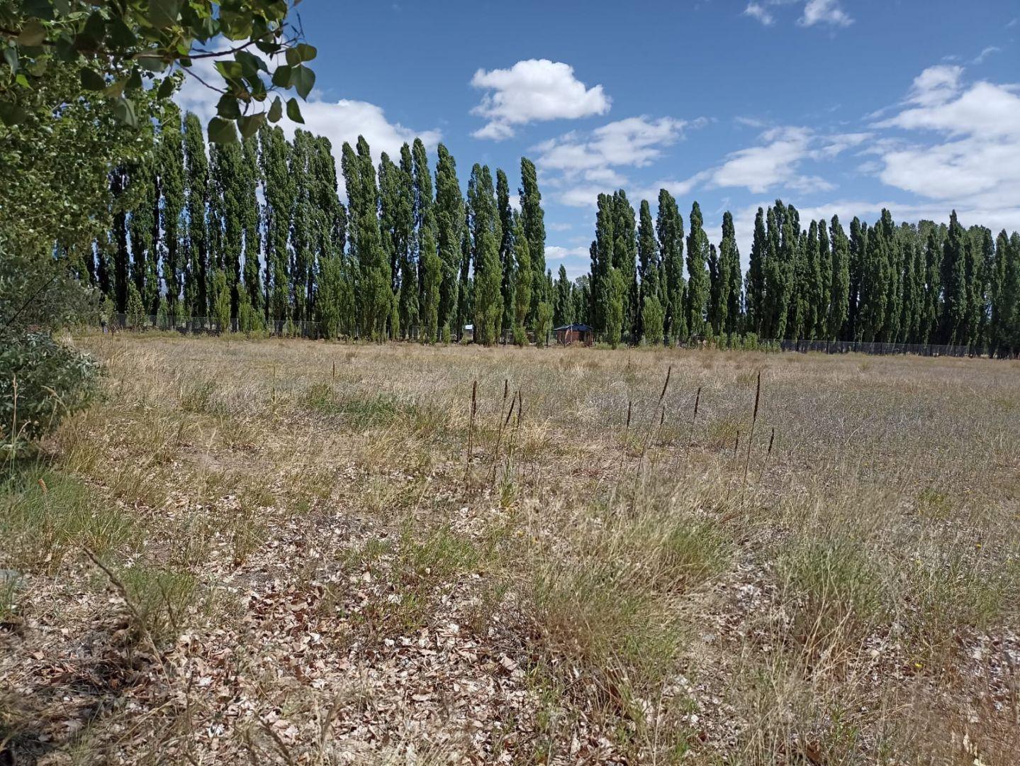 Foto de Venta de Lote en Malargüe, imagen 5
