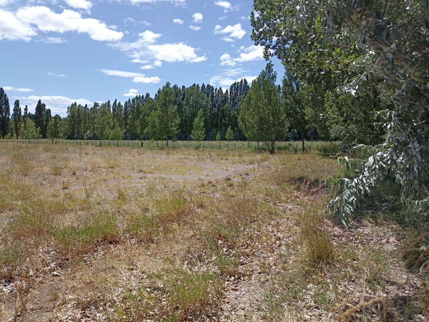 Foto de Venta de Lote en Malargüe, imagen 4