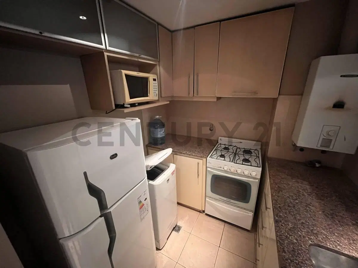 DEPARTAMENTO ALQUILER LA PLATA 1 DORMITORIO AMUEBLADO PATIO COCHERA 4