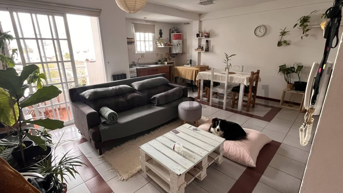 Foto de DEPARTAMENTO EN VENTA LA PLATA 1 DORMITORIO BALCON, imagen 1