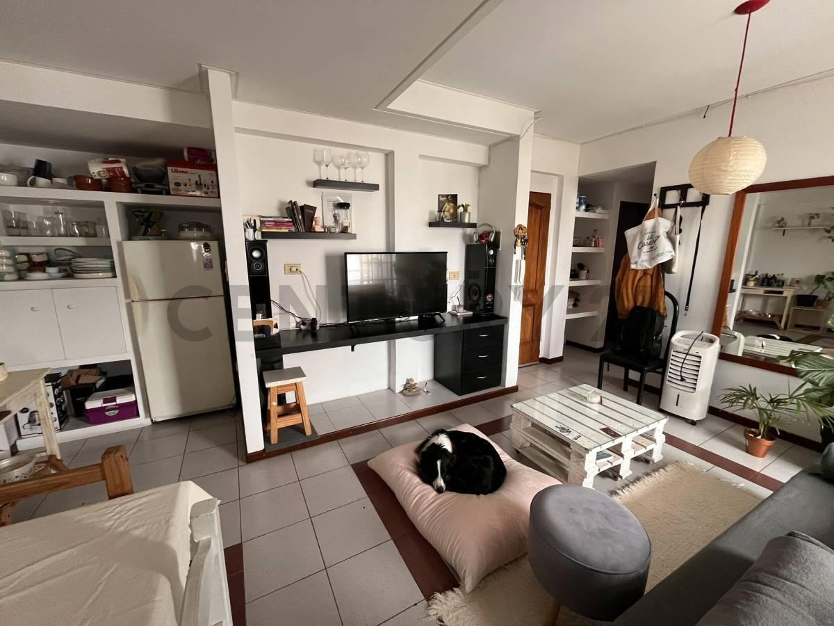 Foto de DEPARTAMENTO EN VENTA LA PLATA 1 DORMITORIO BALCON, imagen 3