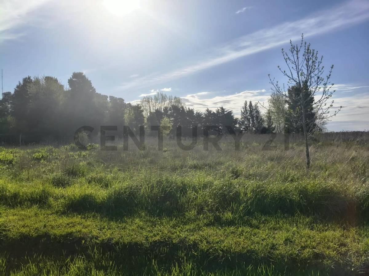 Foto de LOTE EN VENTA SAMBOROMBON BRANDSEN, imagen 1
