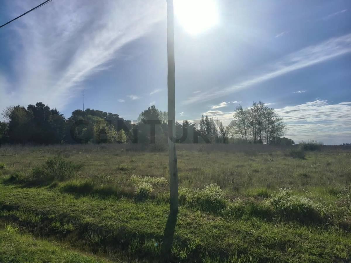 Foto de LOTE EN VENTA SAMBOROMBON BRANDSEN, imagen 3