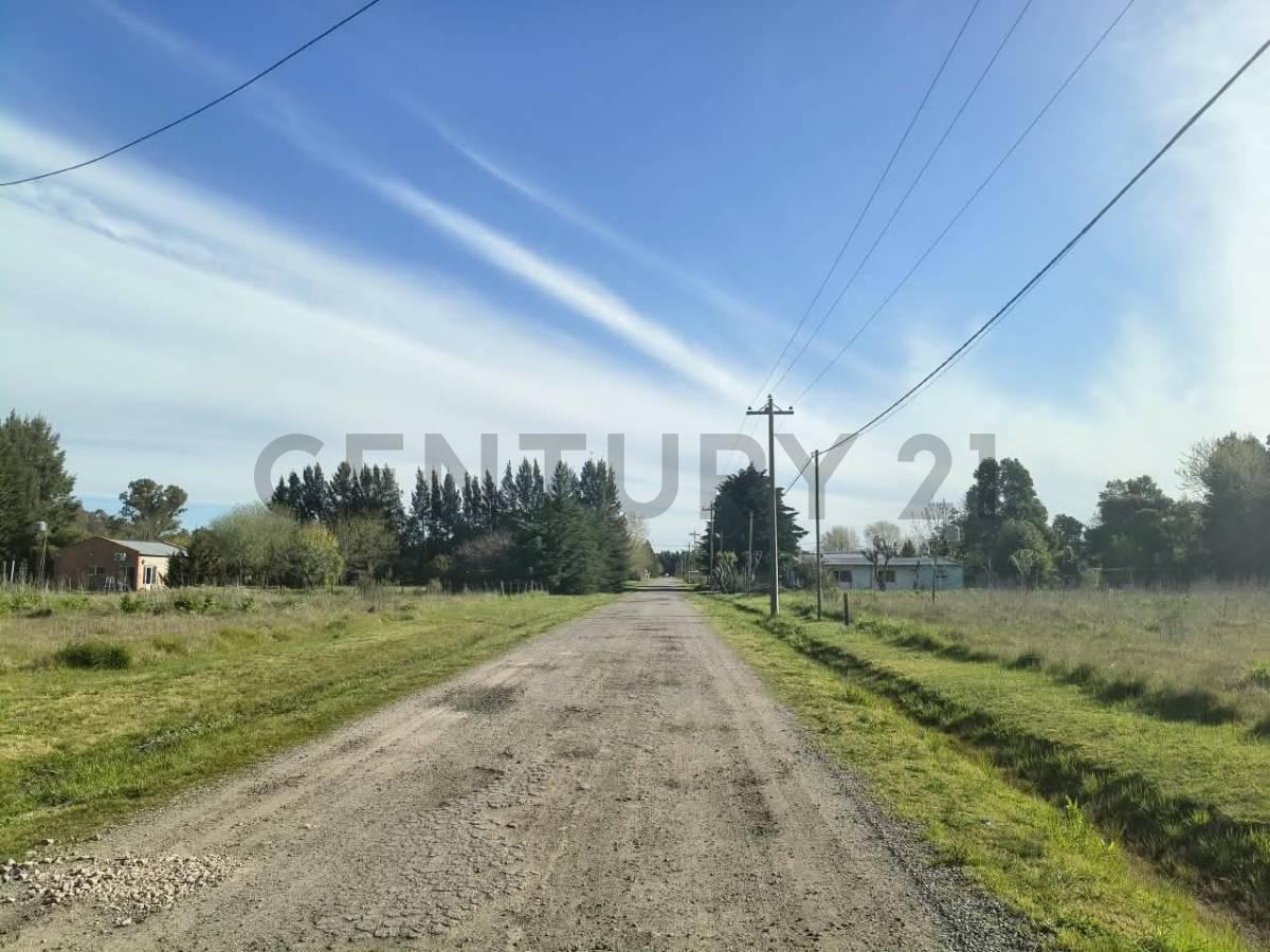Foto de LOTE EN VENTA SAMBOROMBON BRANDSEN, imagen 3