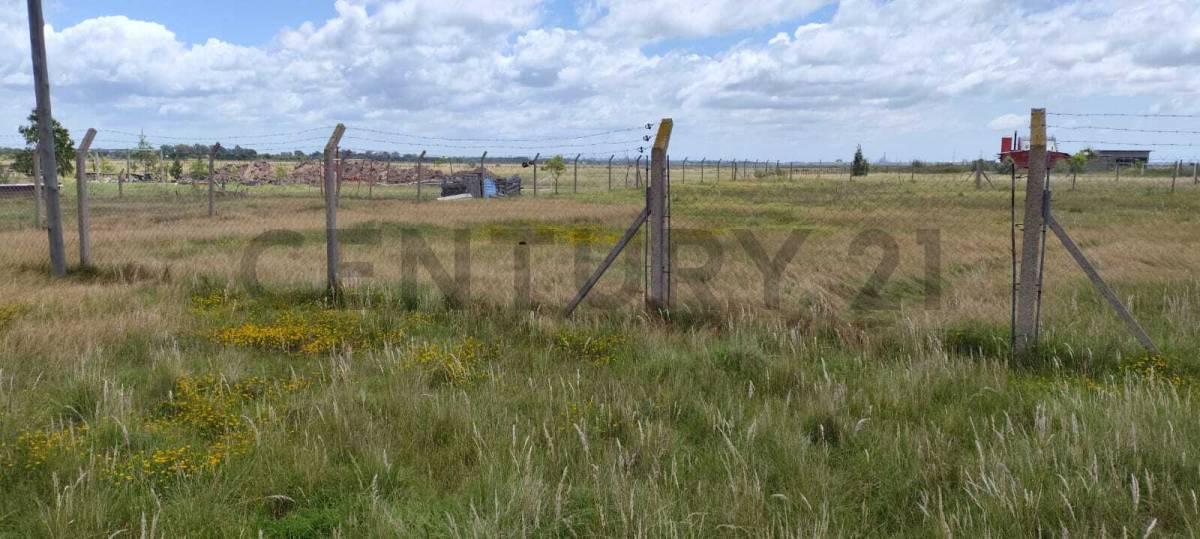 Foto de LOTE EN VENTA LA HERMOSURA BERISSO LA PLATA, imagen 1