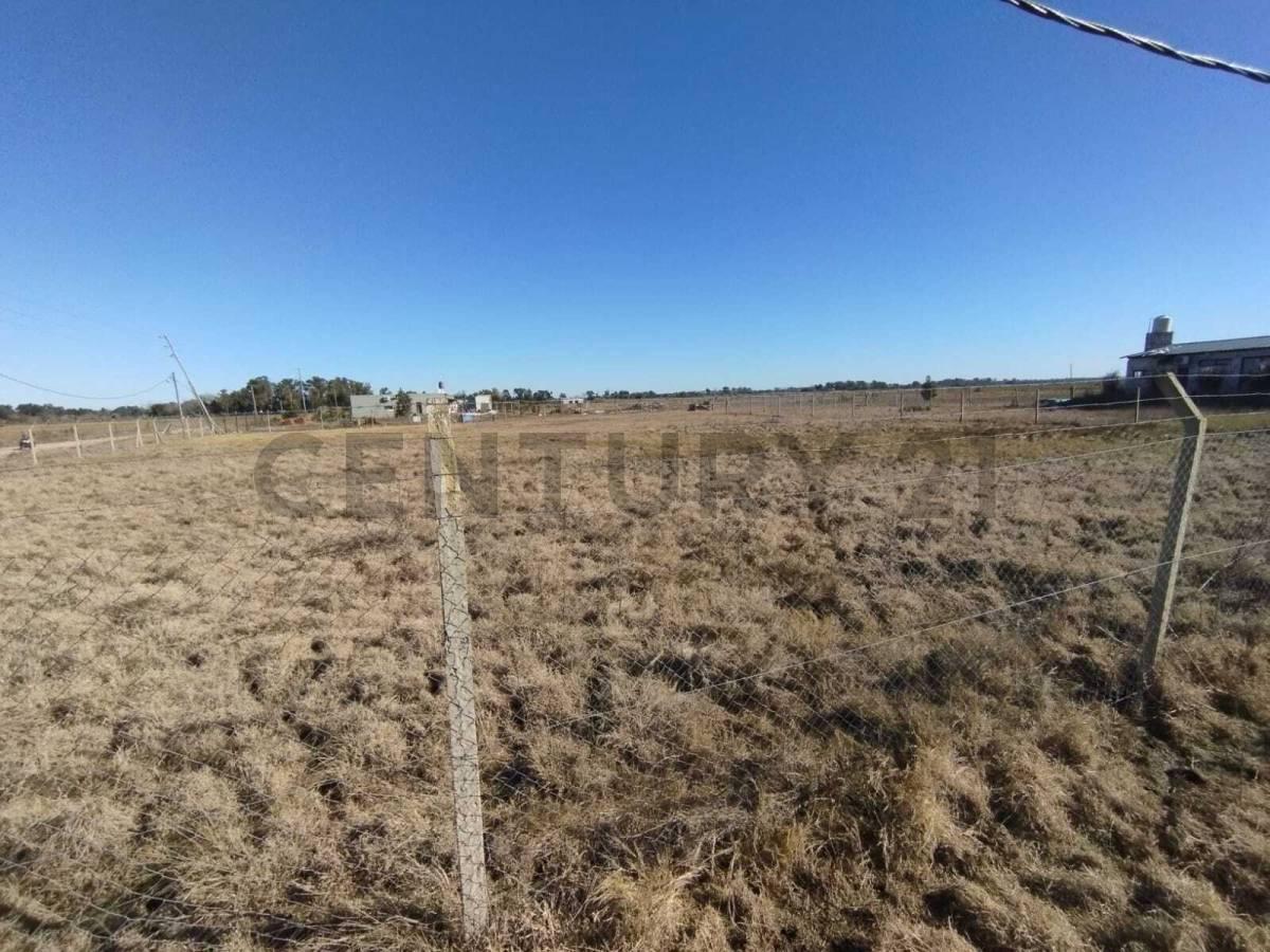 Foto de LOTE EN VENTA LA HERMOSURA BERISSO LA PLATA, imagen 5