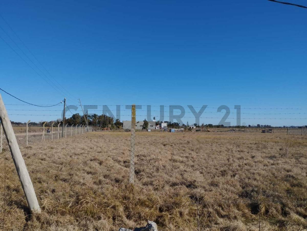 Foto de LOTE EN VENTA LA HERMOSURA BERISSO LA PLATA, imagen 3