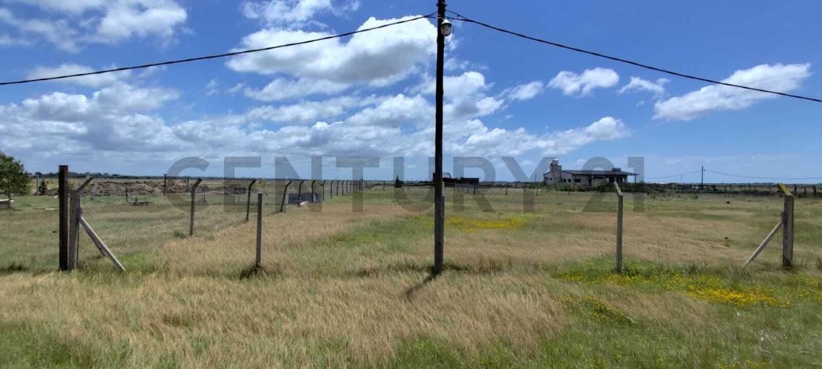 Foto de LOTE EN VENTA LA HERMOSURA BERISSO LA PLATA, imagen 2