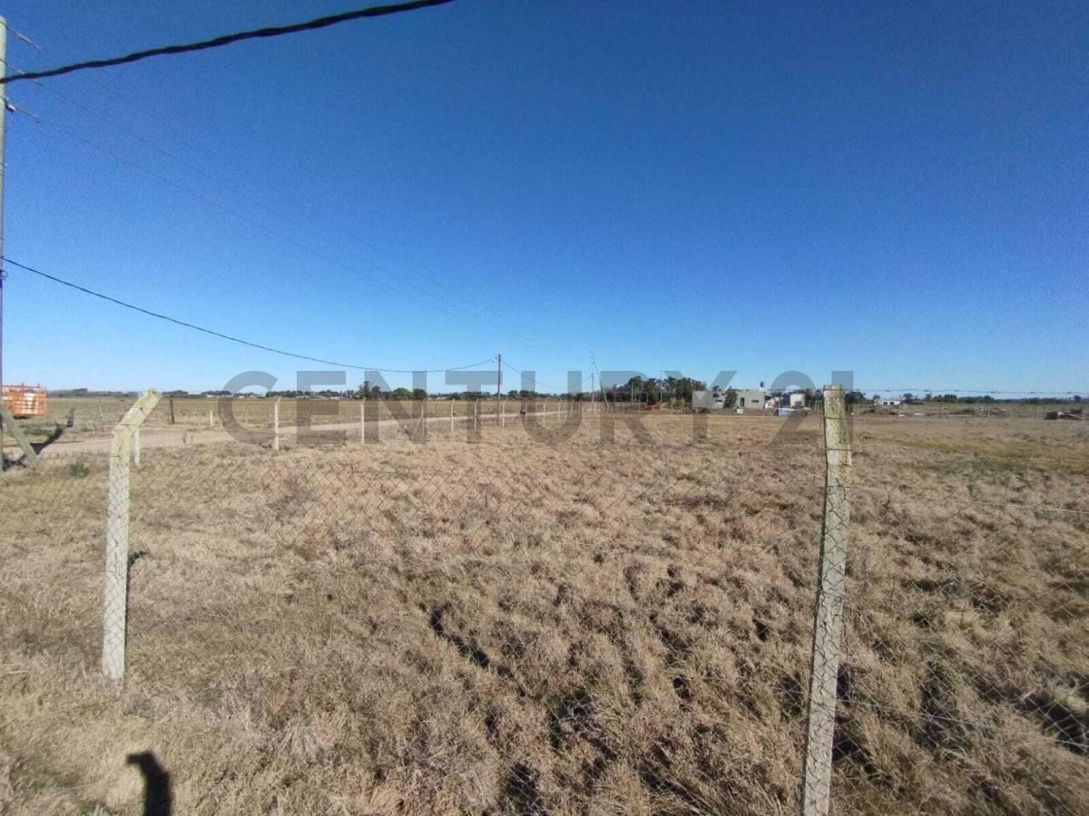 Foto de LOTES EN VENTA EN LA HERMOSURA, imagen 4