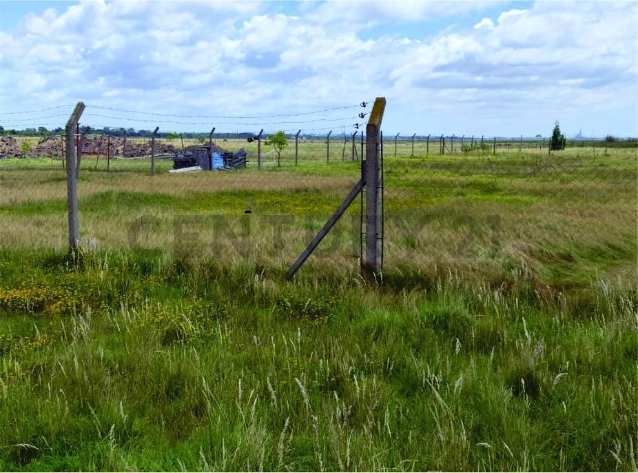Foto de LOTES EN VENTA EN LA HERMOSURA, imagen 1