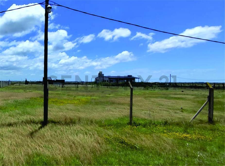 Foto de LOTES EN VENTA EN LA HERMOSURA, imagen 3