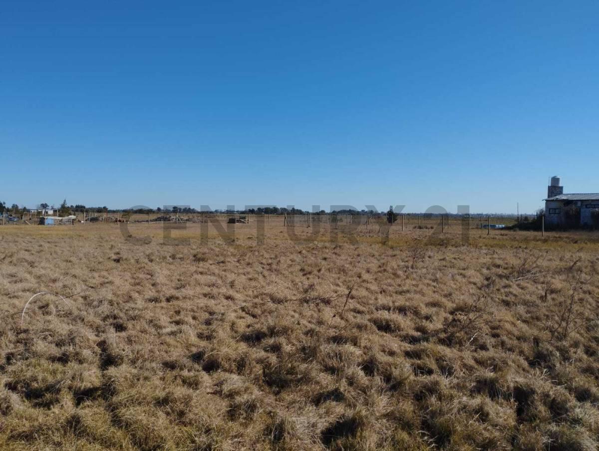 Foto de LOTES EN VENTA EN LA HERMOSURA, imagen 5