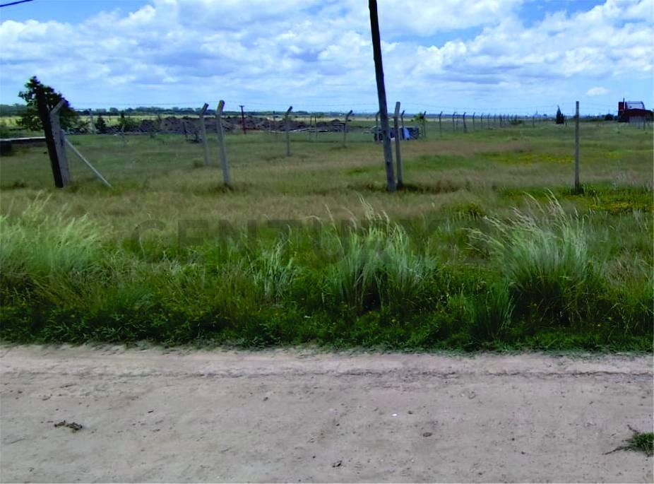 Foto de LOTES EN VENTA EN LA HERMOSURA, imagen 2