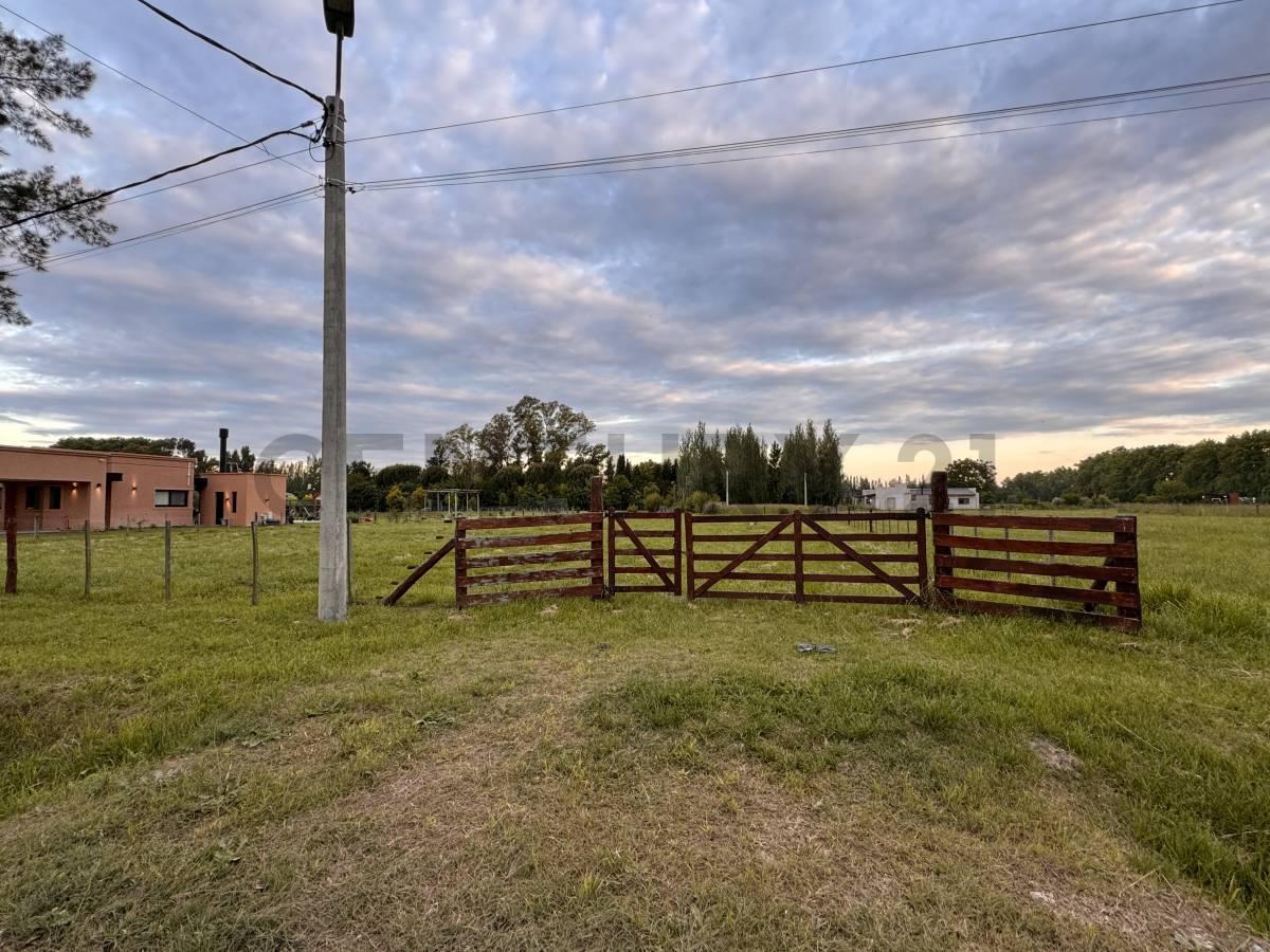 Foto de Terreno venta Brandsen Estancia Las malvinas 2, imagen 4