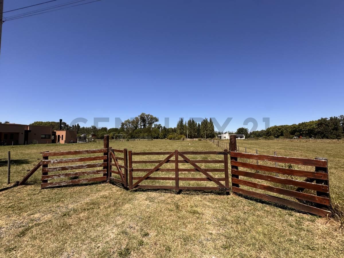 Foto de Terreno venta Brandsen Estancia Las malvinas 2, imagen 3