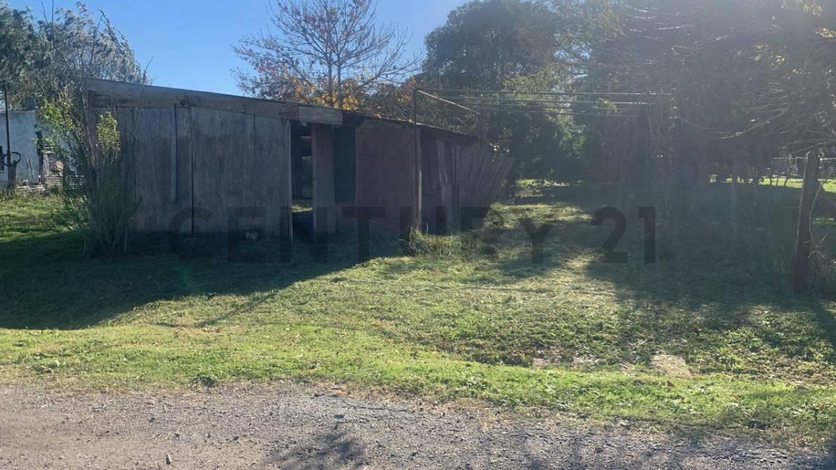 Foto de LOTE EN VENTA SAMBOROMBON BRANDSEN, imagen 1