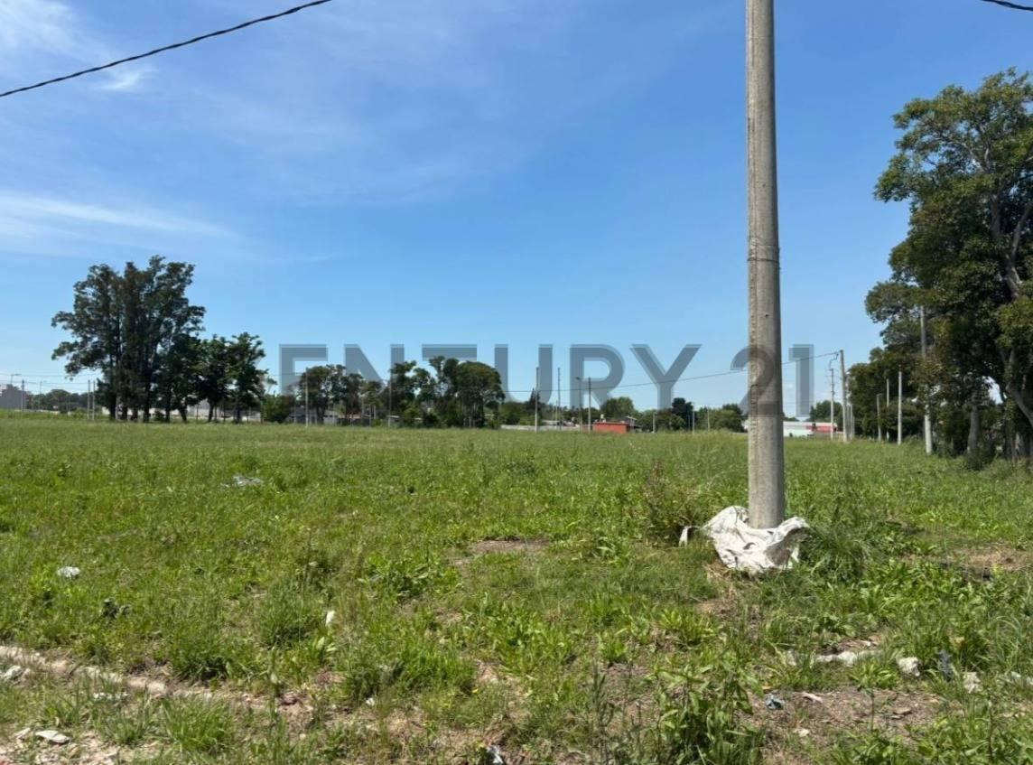 Foto de LOTE EN VENTA SICARDI BARRIO ABIERTO LAS CORTADERAS, imagen 3