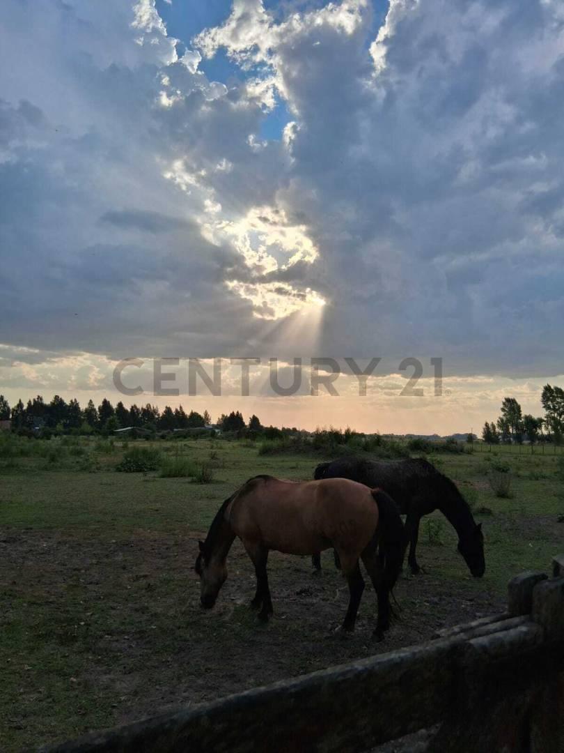 Foto de Terreno venta Brandsen Estancia las Malvinas 1, imagen 2
