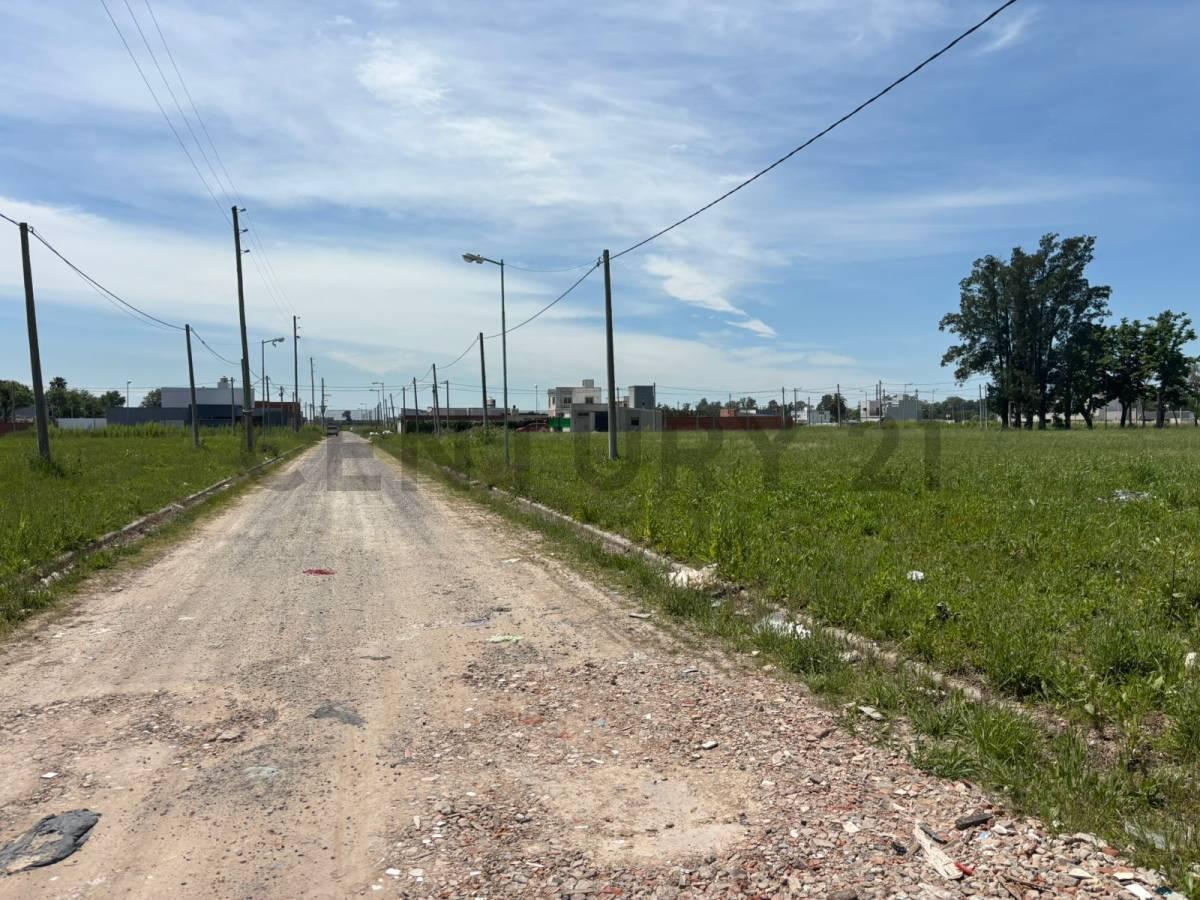 Foto de LOTE EN VENTA SICARDI BARRIO ABIERTO LAS CORTADERAS, imagen 2