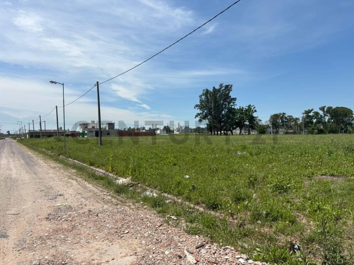 Foto de LOTE EN VENTA SICARDI BARRIO ABIERTO LAS CORTADERAS, imagen 1