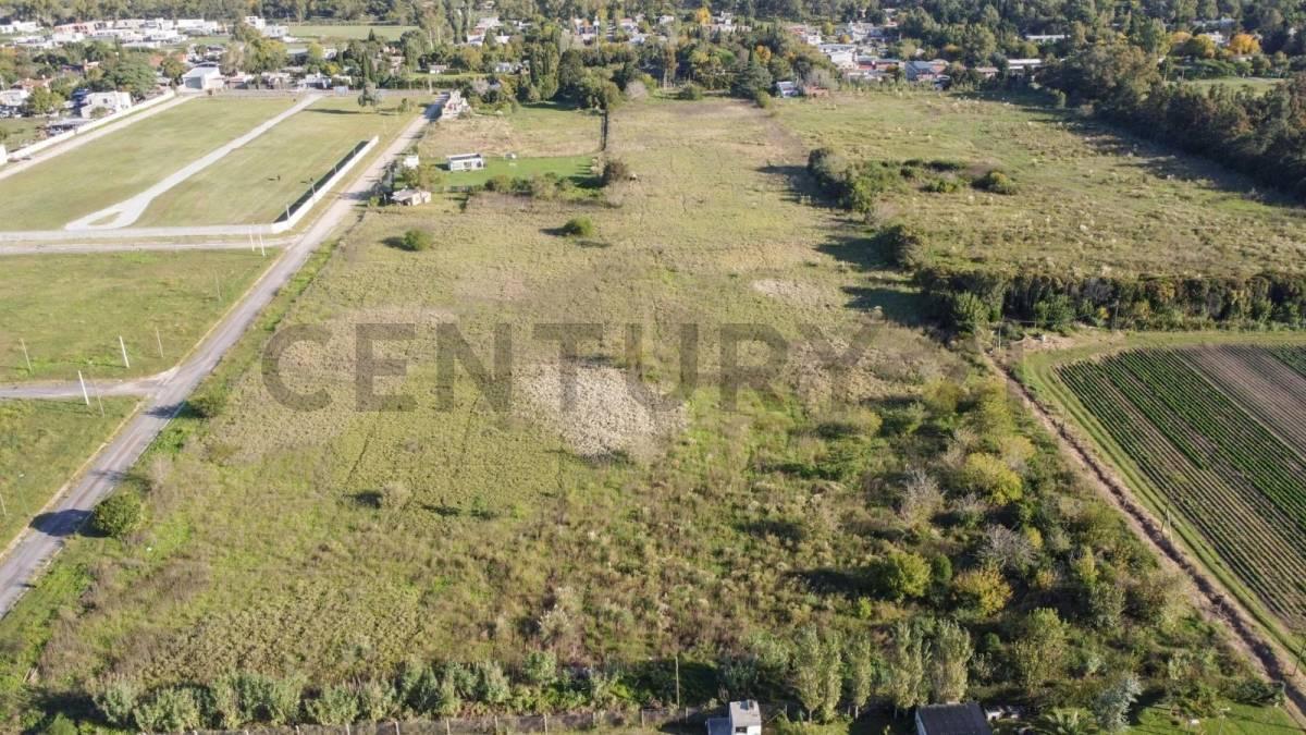 Foto de HECTAREAS EN VENTA GONNET LA PLATA, imagen 5