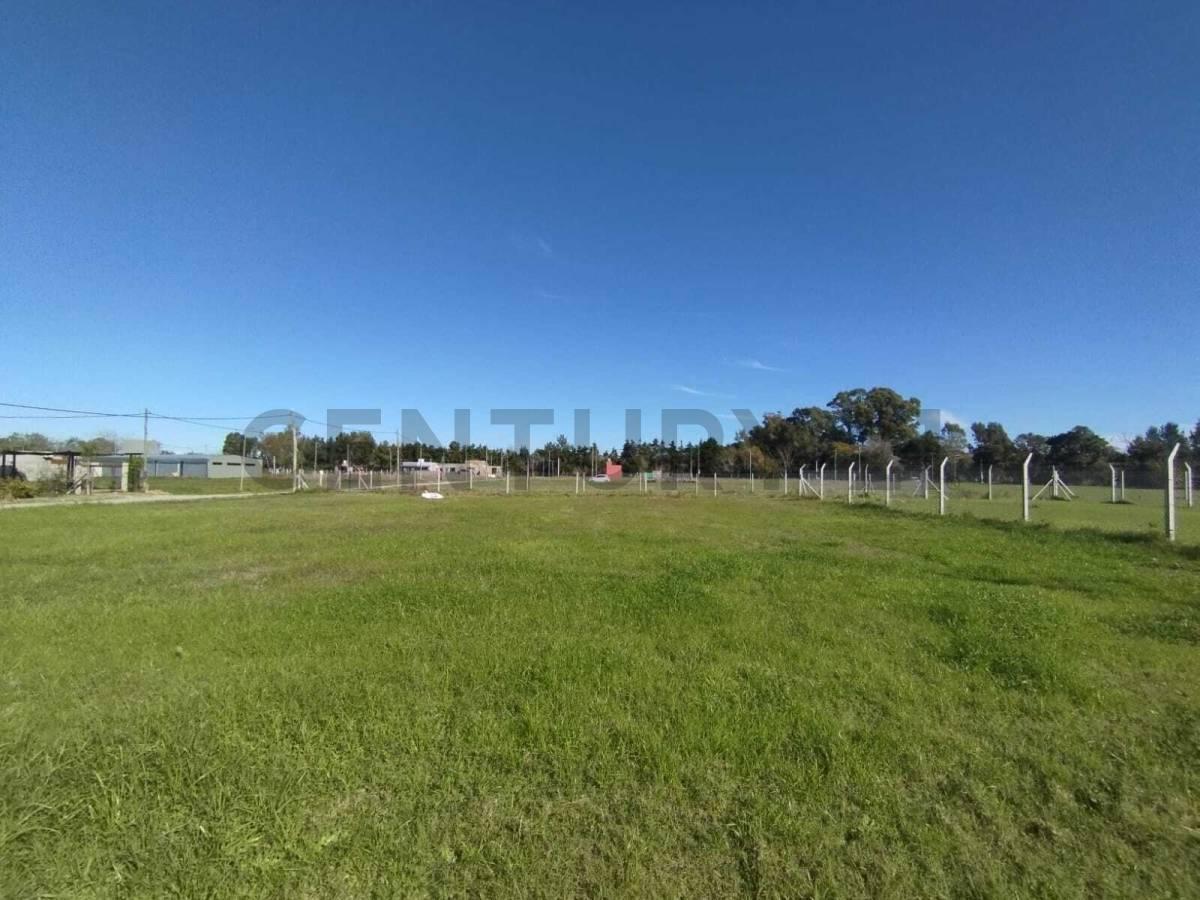 Foto de TERRENO EN VENTA EN SICARDI, imagen 2