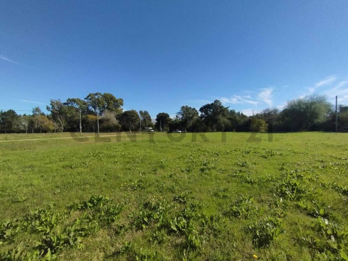 Foto de TERRENO EN VENTA EN SICARDI, imagen 4