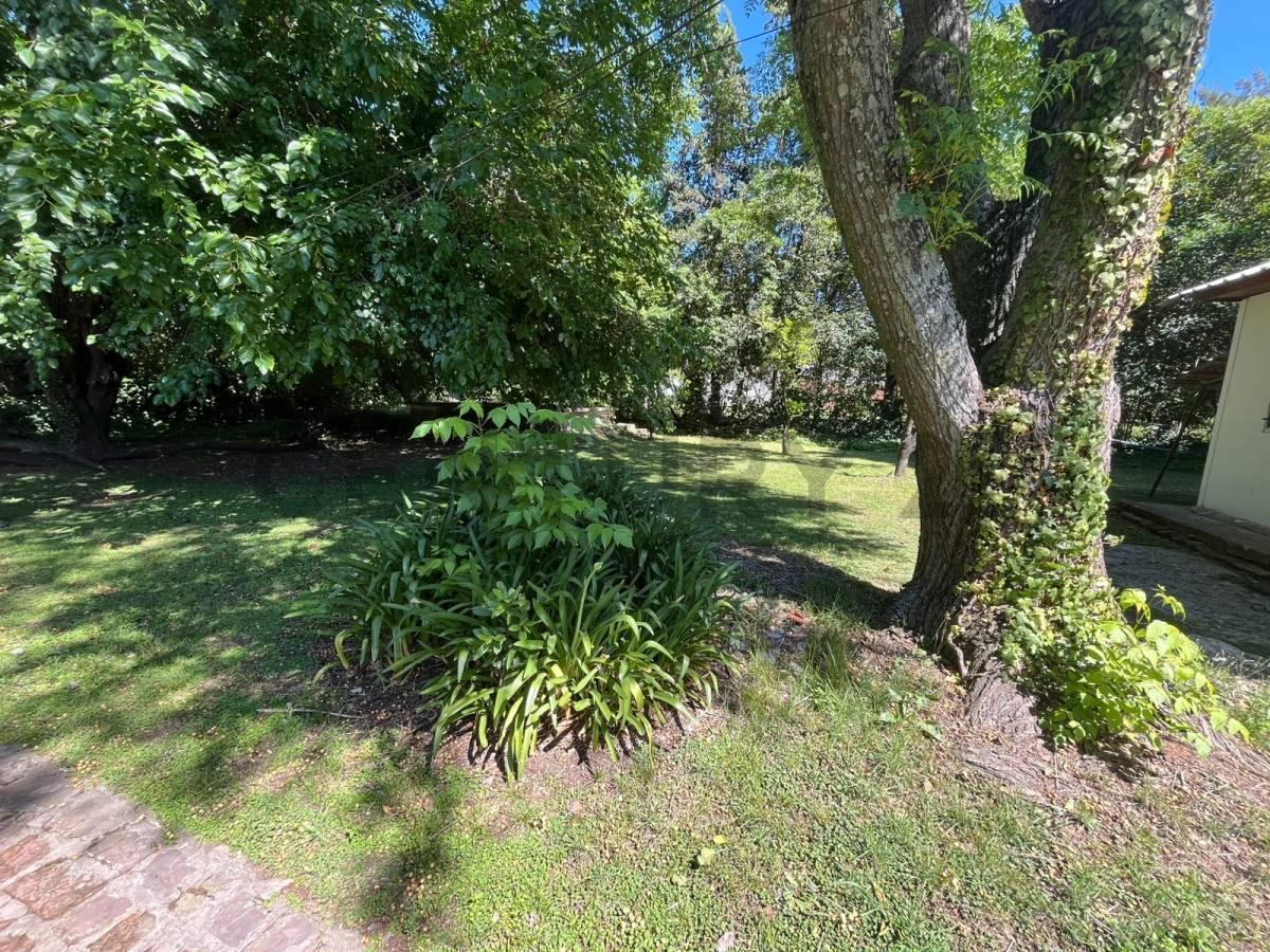 Foto de Lote en venta en Arturo Segui, imagen 4