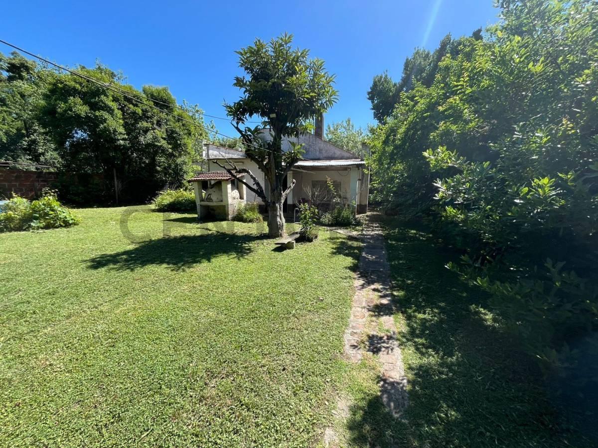 Foto de Lote en venta en Arturo Segui, imagen 5
