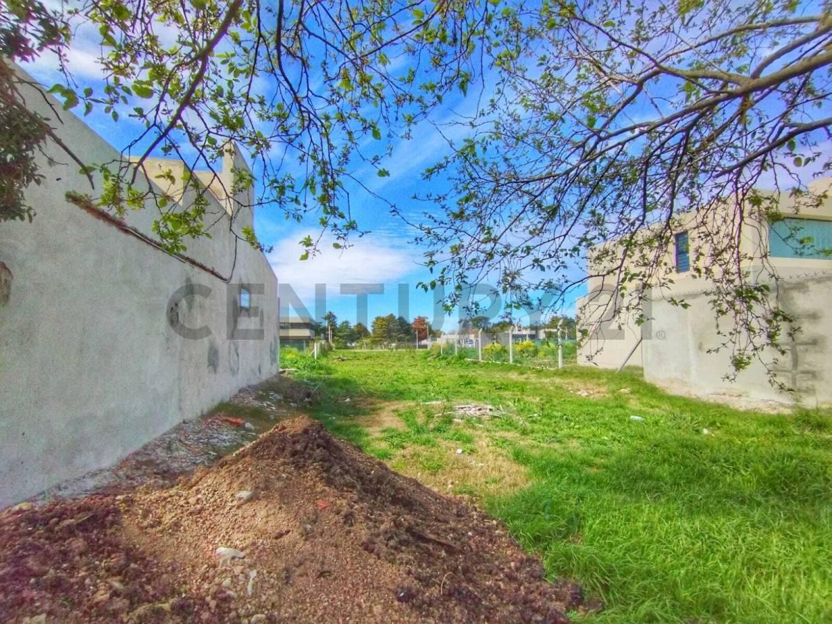 Foto de LOTE VENTA LA PLATA SAN PATRICIO 2, imagen 4
