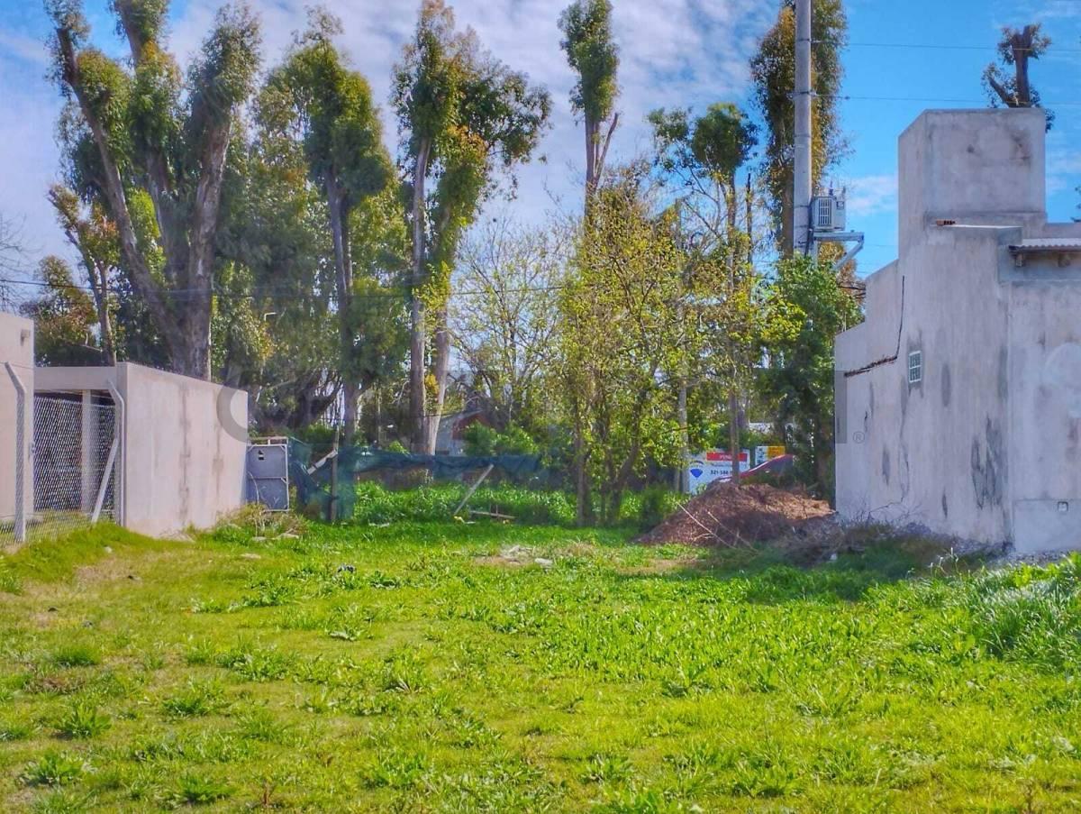 Foto de LOTE VENTA LA PLATA SAN PATRICIO 2, imagen 1