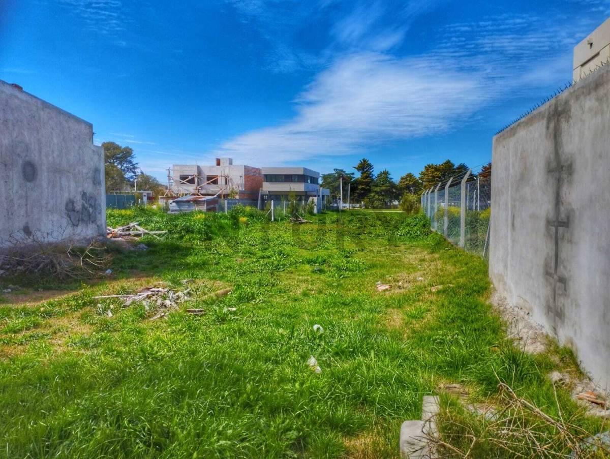 Foto de LOTE VENTA LA PLATA SAN PATRICIO 2, imagen 2