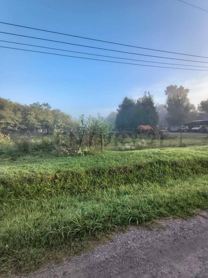 Foto de LOTE EN VENTA SAMBOROMBON BRANDSEN, imagen 2