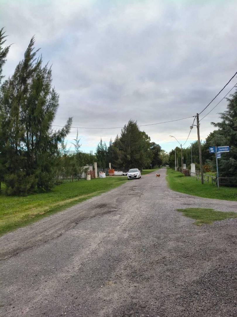 Foto de LOTE EN VENTA SAMBOROMBON BRANDSEN, imagen 3