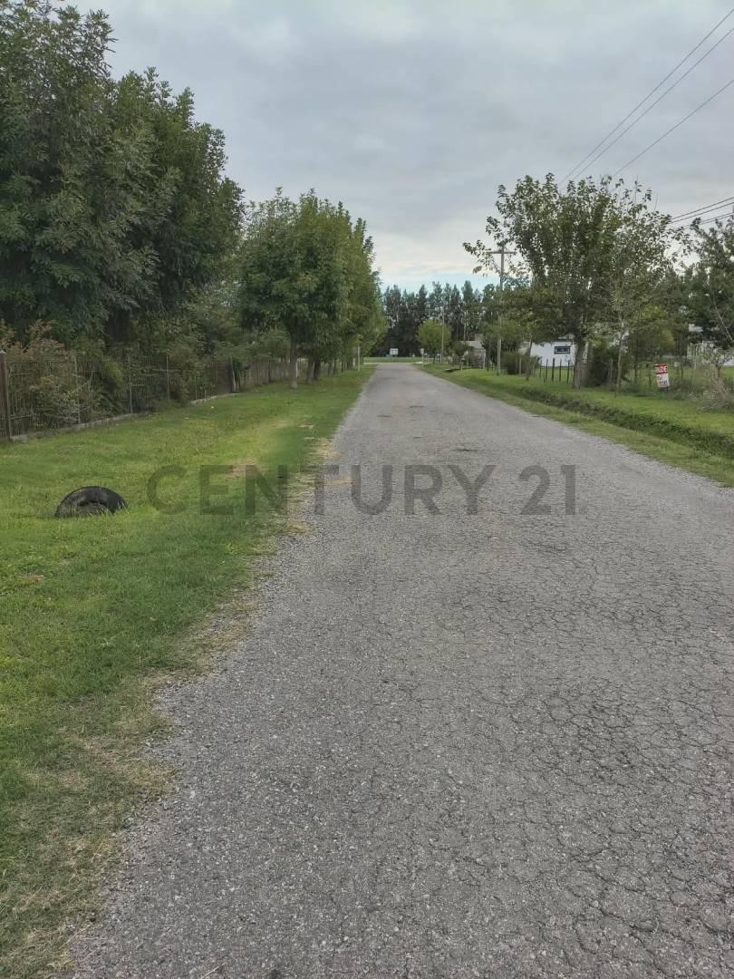 Foto de LOTE EN VENTA SAMBOROMBON BRANDSEN, imagen 4
