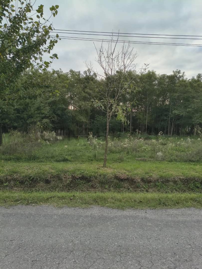 Foto de LOTE EN VENTA SAMBOROMBON BRANDSEN, imagen 1