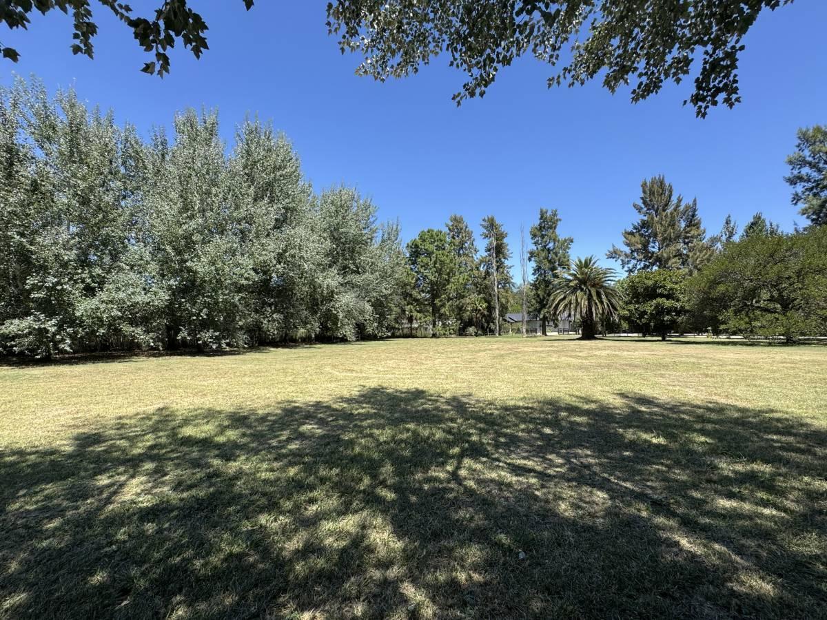Foto de LOTE EN VENTA BRANDSEN ESTANCIA LAS MALVINAS, imagen 4