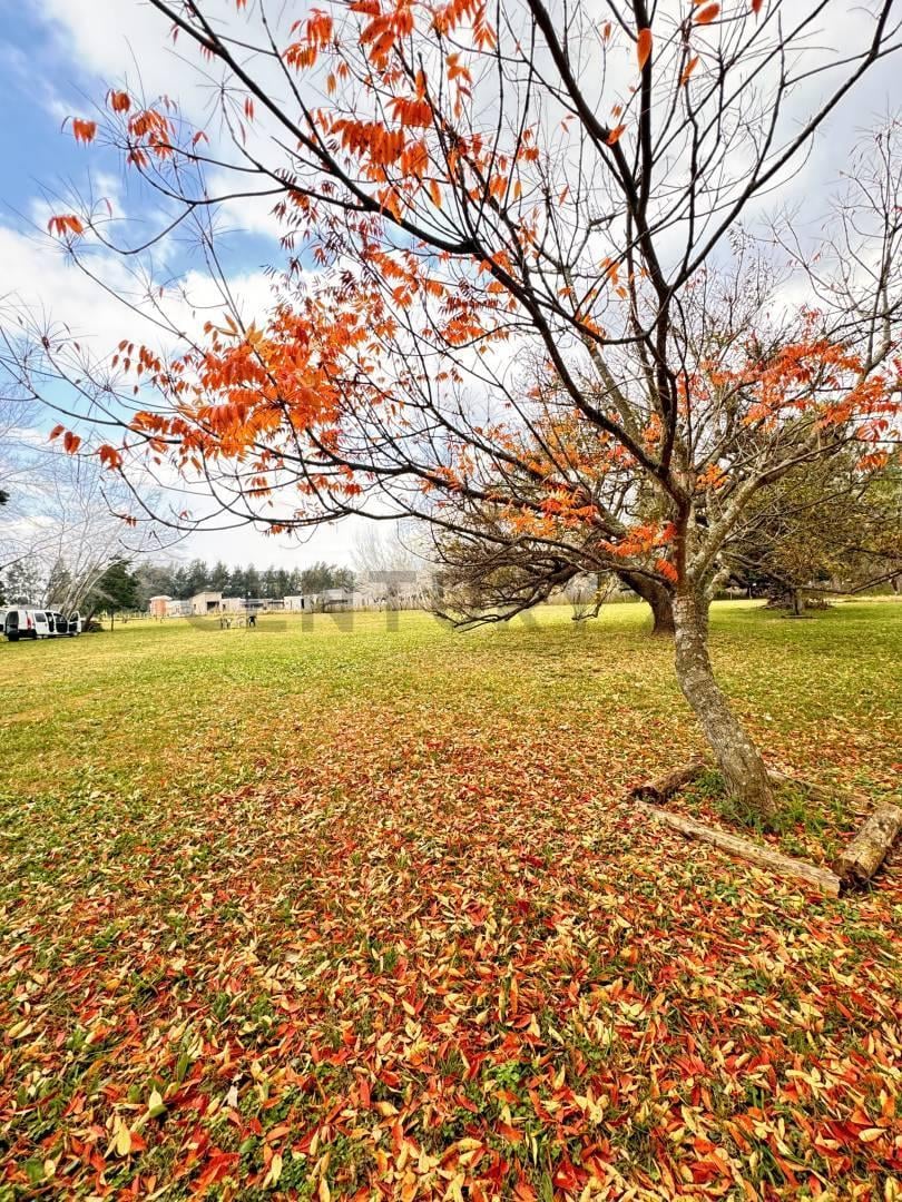Foto de LOTE EN VENTA BRANDSEN ESTANCIA LAS MALVINAS, imagen 1
