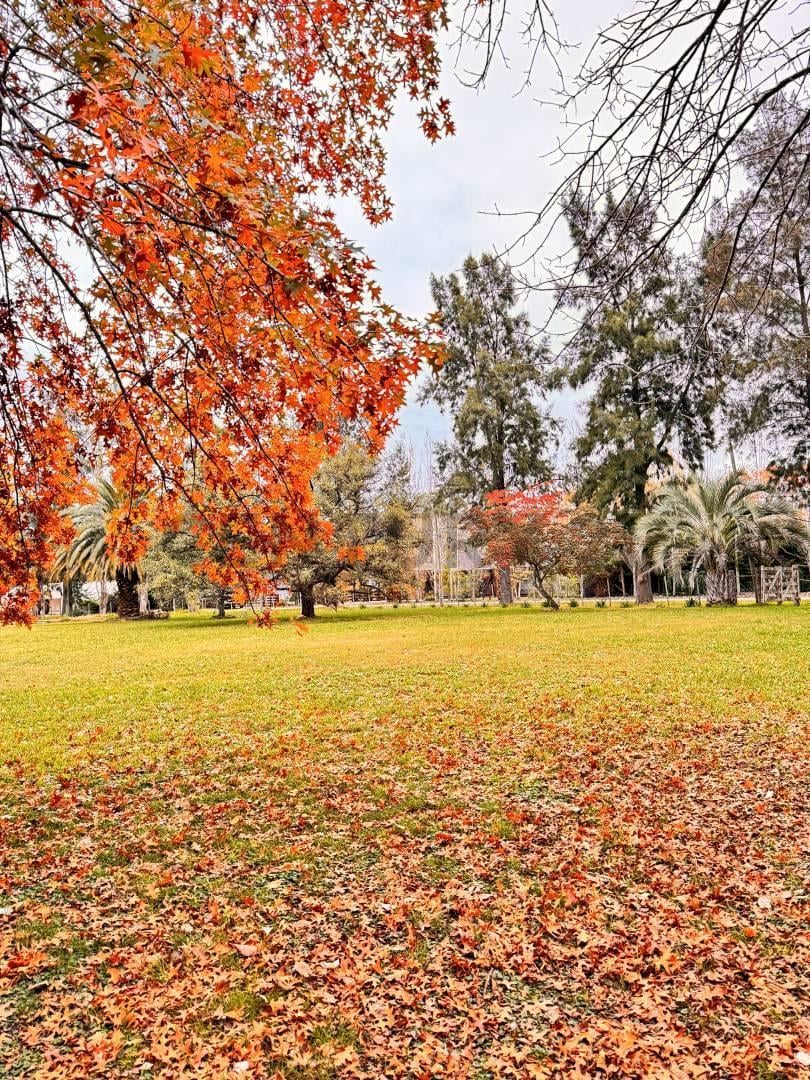 Foto de LOTE EN VENTA BRANDSEN ESTANCIA LAS MALVINAS, imagen 3