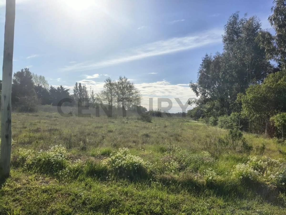 Foto de LOTE EN VENTA SAMBOROMBON BRANDSEN, imagen 1