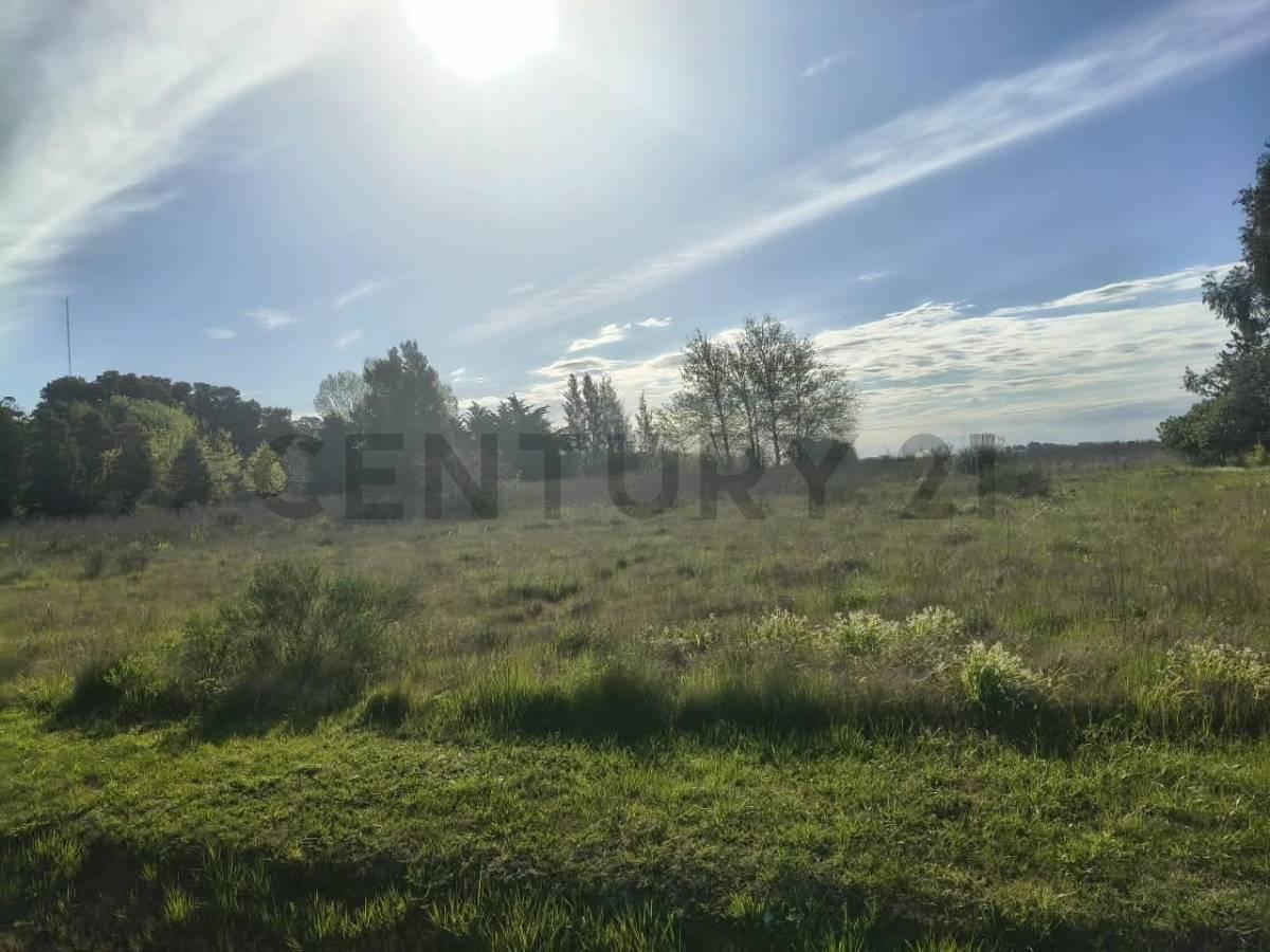 Foto de LOTE EN VENTA SAMBOROMBON BRANDSEN, imagen 2