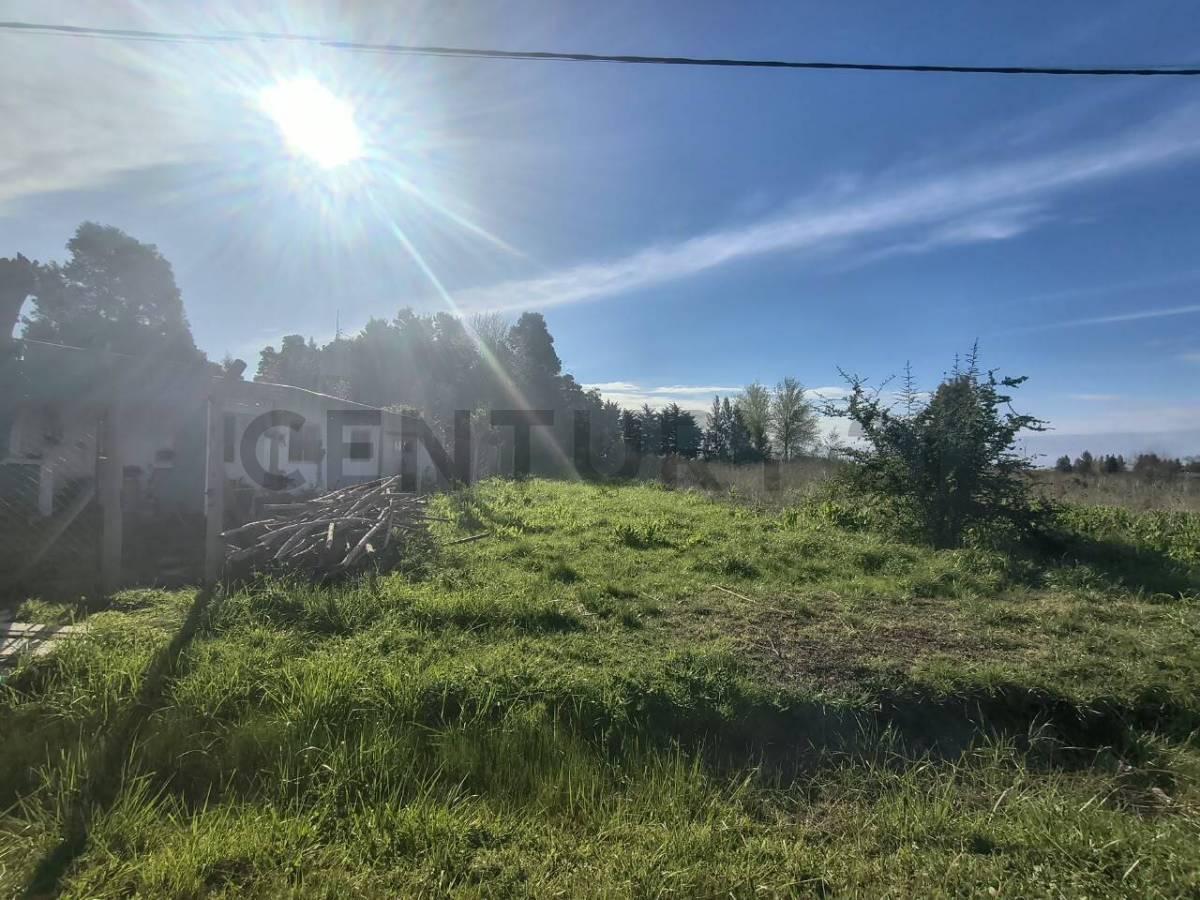 Foto de LOTE EN VENTA SAMBOROMBON BRANDSEN, imagen 2