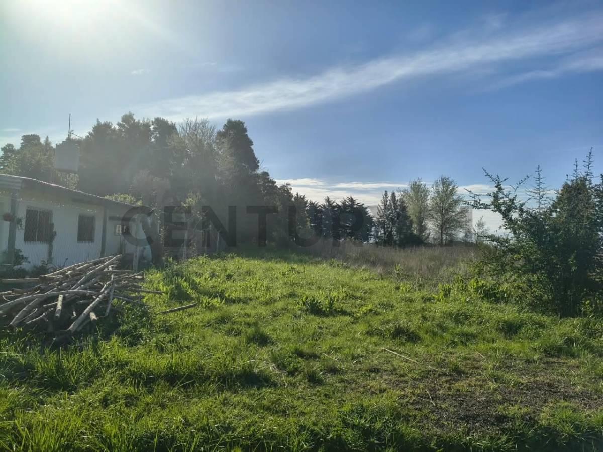 Foto de LOTE EN VENTA SAMBOROMBON BRANDSEN, imagen 5