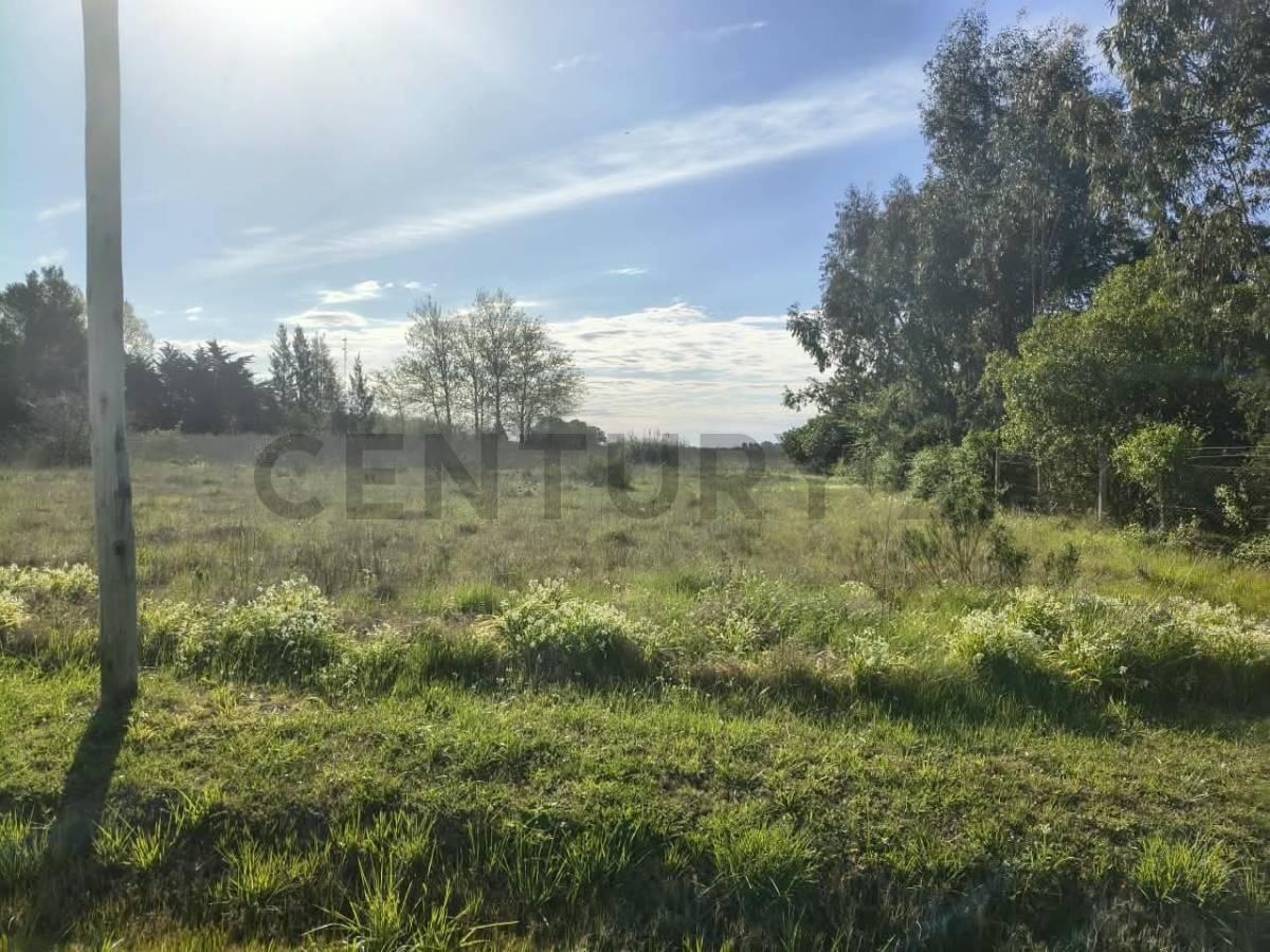 Foto de LOTE EN VENTA SAMBOROMBON BRANDSEN, imagen 5