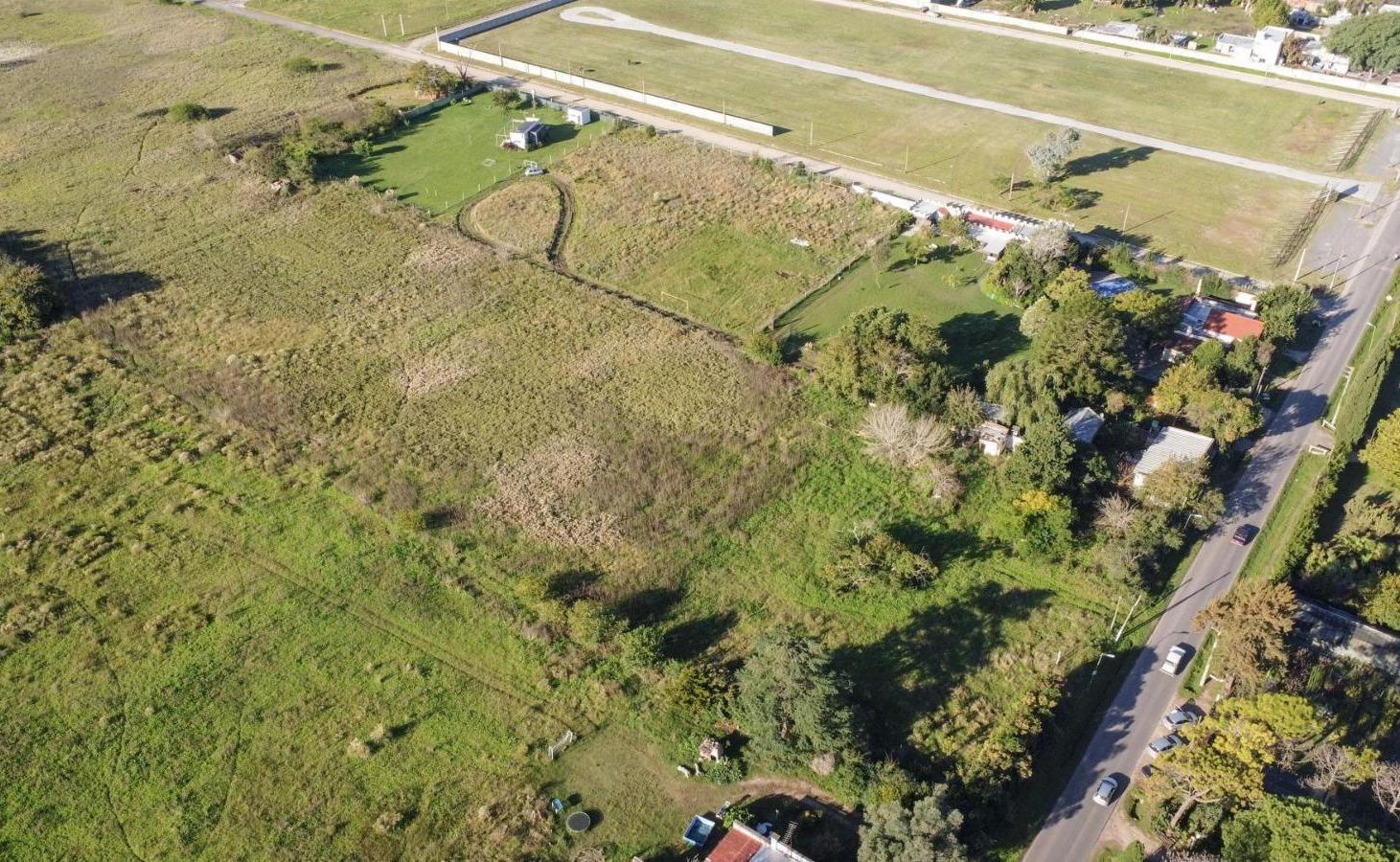 Foto de HECTAREAS EN VENTA LA PLATA GONNET, imagen 4