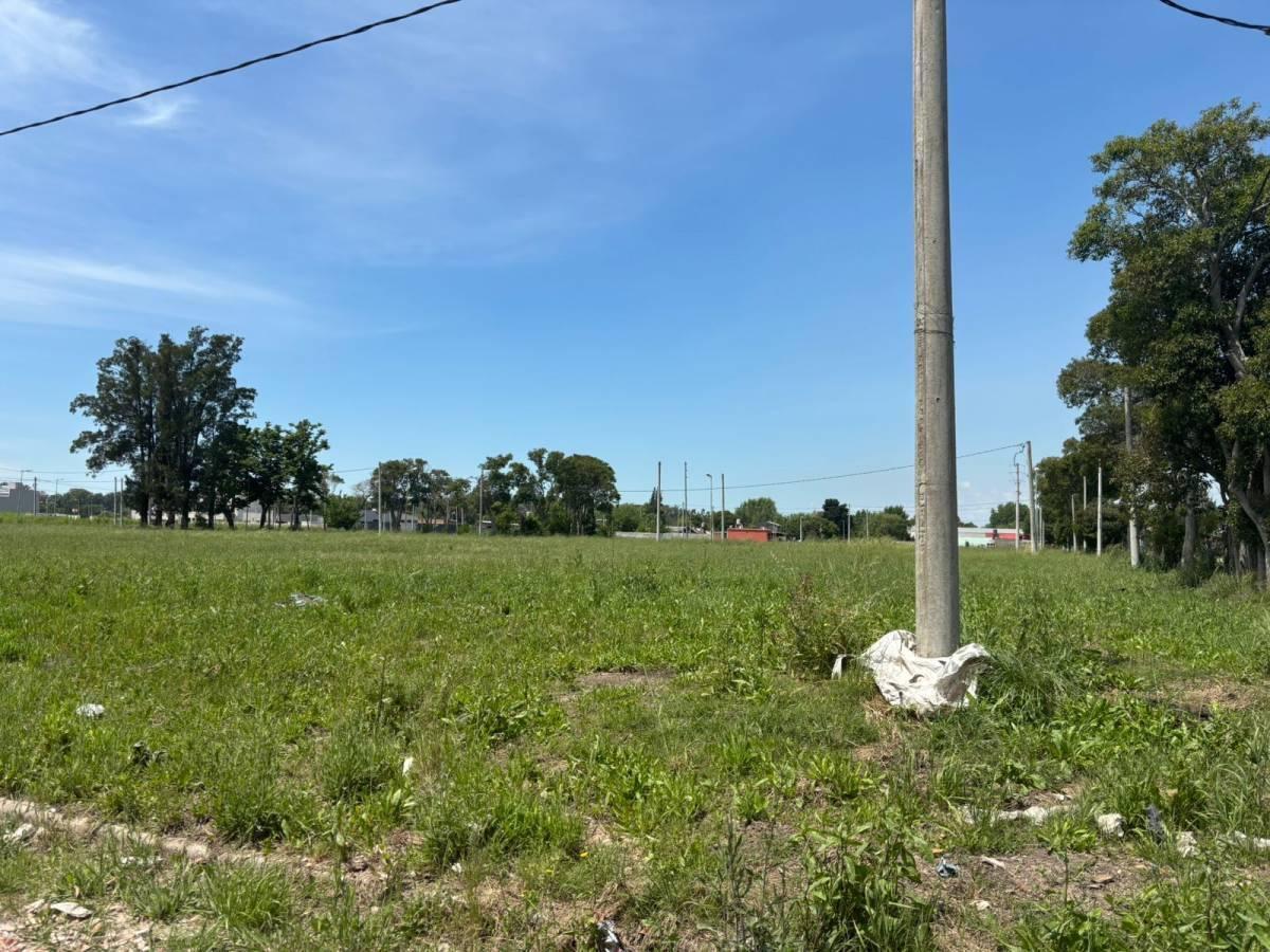Foto de LOTE EN VENTA SICARDI BARRIO ABIERTO LAS CORTADERAS, imagen 3
